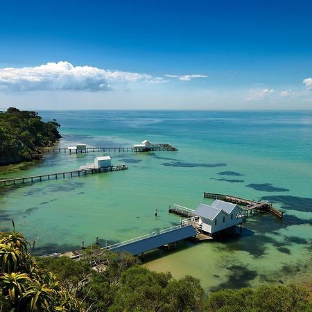 Bayplay Beach Cottage - Pet Friendly Queenscliff Habitación foto